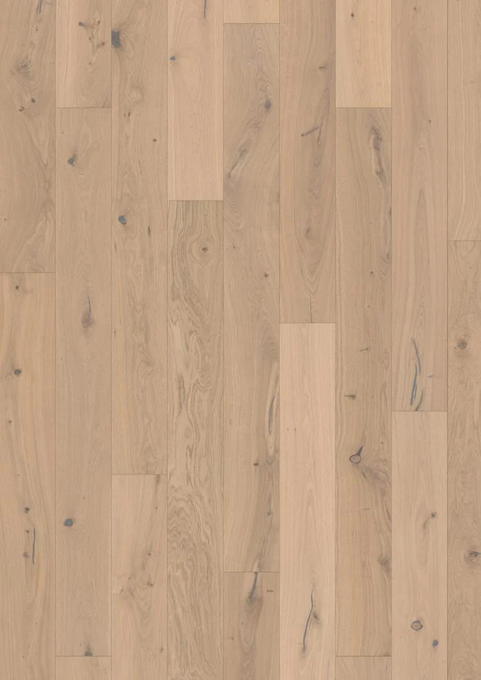 Oak Larus