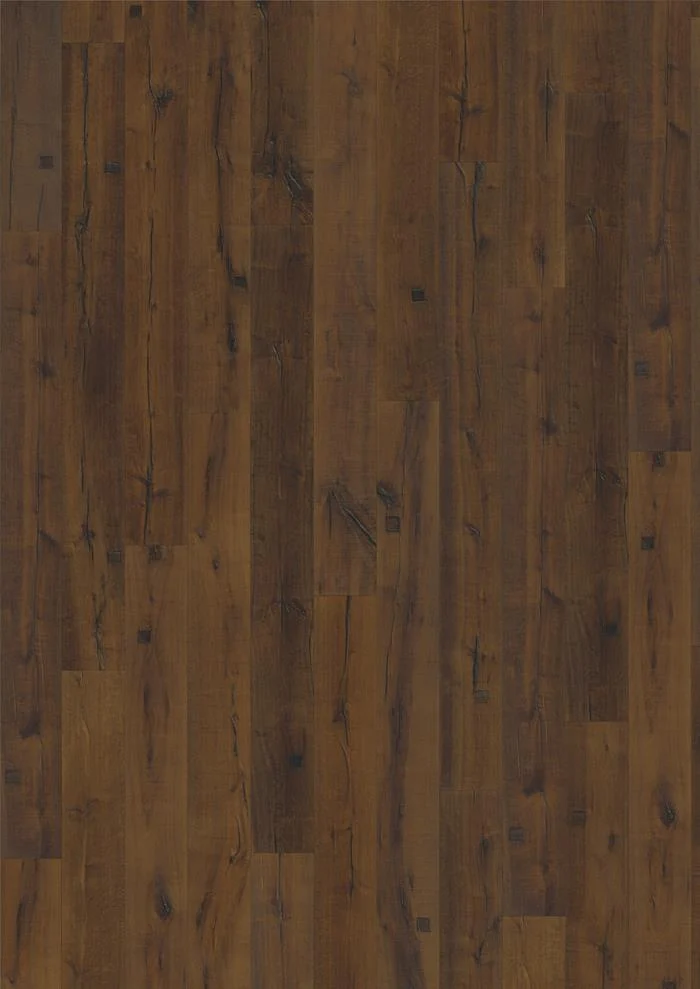 Oak Sparuto