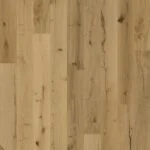Oak Texture Natur