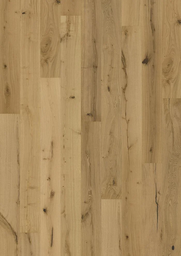 Oak Texture Natur