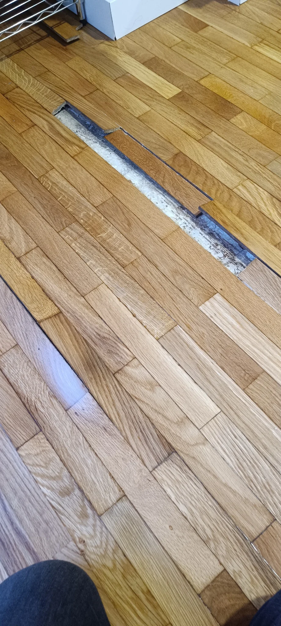 Reparación parquet encolado tablilla roble Barcelona