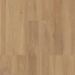 Sand Oak