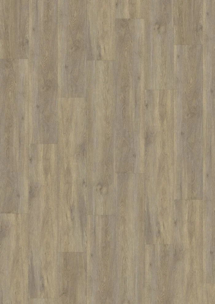 Taiga