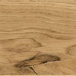 Oak Earthquake matt lacq.