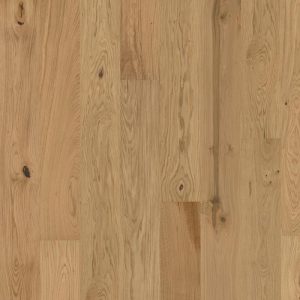 Oak Aster Matt