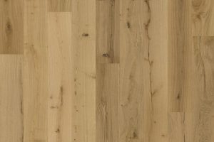 Oak Texture Natur